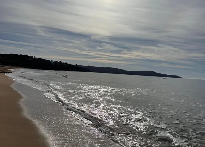 Spray - Port-grimaud - Parking Gratuit - La Petite Venise 公寓 格里莫